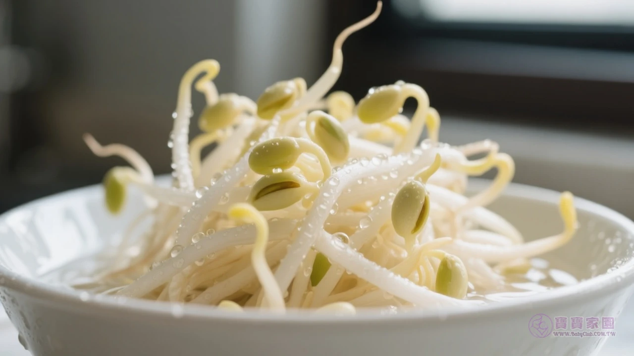 新鮮綠豆芽特寫